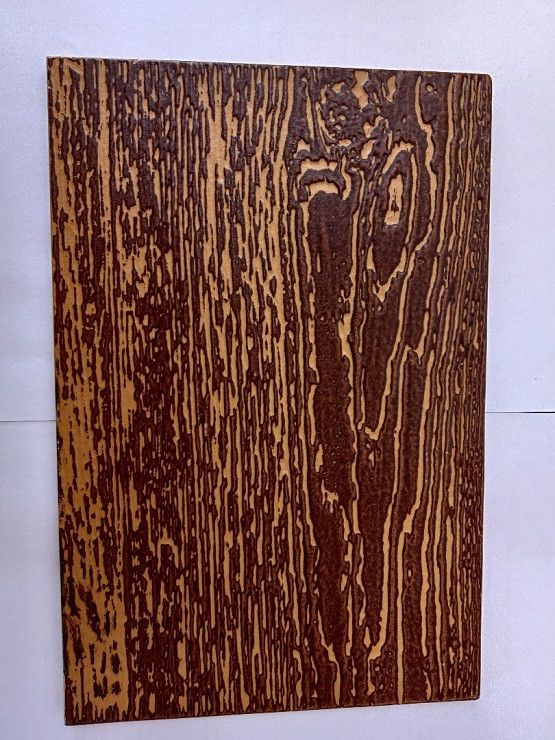 Фиброцементный сайдинг Latonit Клен (RAL 1011/8017) - цвет: Клен. купить в Санкт-Петербурге