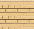 Фасадная панель Доломит, Кирпич Славянка, Желтый  купить в Санкт-Петербурге
