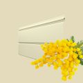 Виниловый сайдинг ТЕХНОНИКОЛЬ Брус, Мимоза купить в Санкт-Петербурге