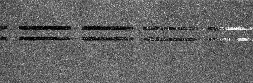 Коньково-карнизная черепица Docke, Premium, Черника купить в Санкт-Петербурге